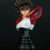 Beidou × Ao Ding  Saint Seiya Pegasus