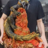BlackFatalis Studio Monster Hunter Kulve Taroth