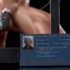 Endless Fate Series Emiya