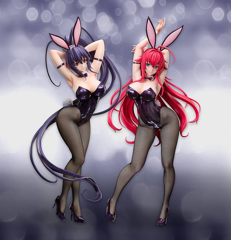FREEing High School DxD HERO Akeno Himejima