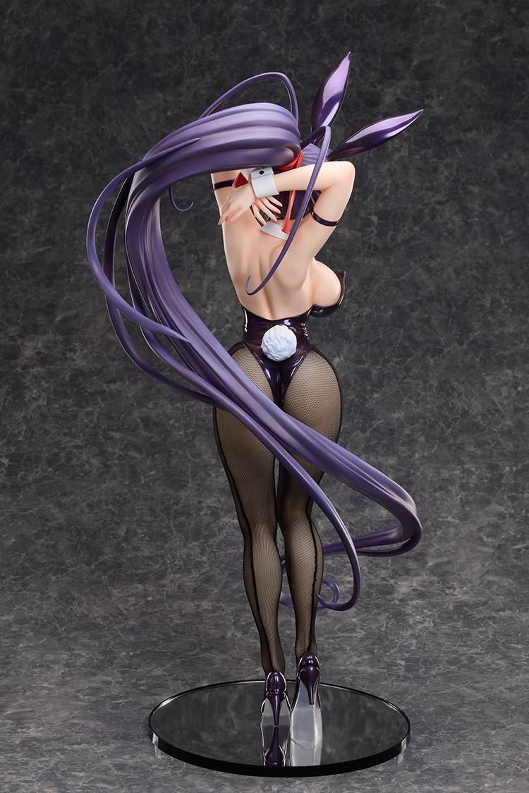 FREEing High School DxD HERO Akeno Himejima
