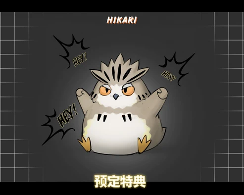 Hikari Haikyu!! Kōtarō Bokuto