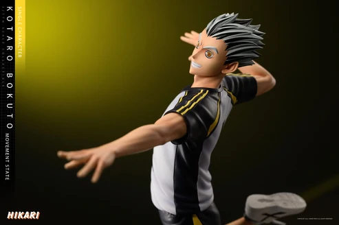 Hikari Haikyu!! Kōtarō Bokuto