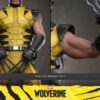 Hottoys Marvel Wolverine