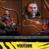 Hottoys Marvel Wolverine