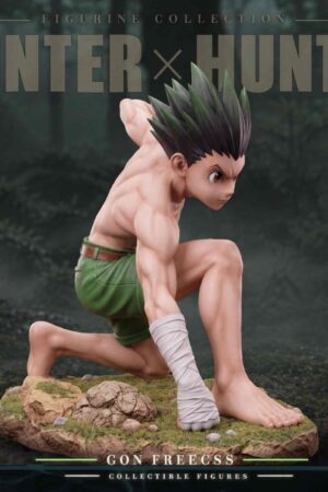 Lolita Studio Hunter × Hunter Gon Freecss & Killua Zoldyck