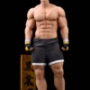 MC DNF Duel Grappler