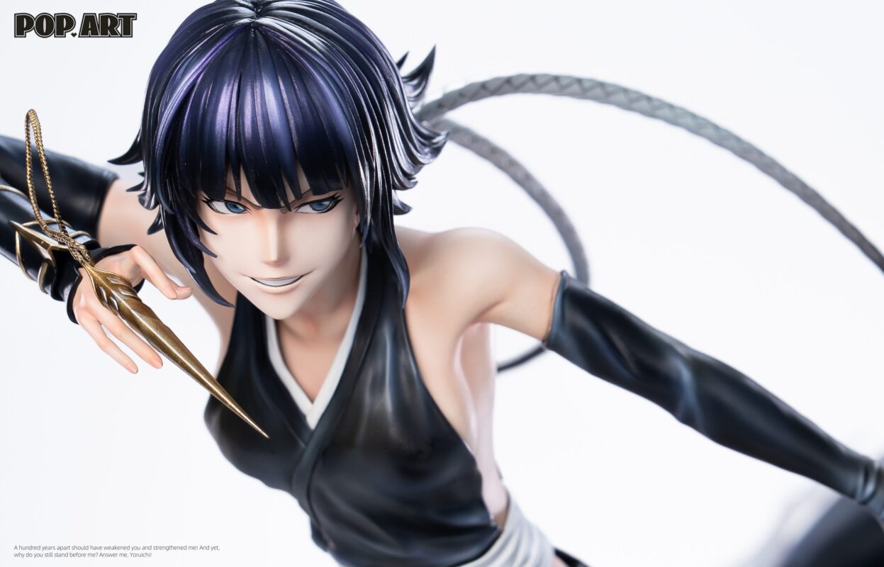 POP ART Studio Bleach Soi Fon & Yoruichi