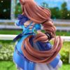 Phat Compan Uma Musume Super Creek