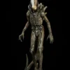 Premium Collectibles Alien Big Chap