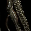 Premium Collectibles Alien Big Chap