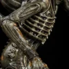 Premium Collectibles Alien Big Chap