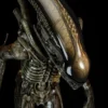 Premium Collectibles Alien Big Chap