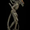 Premium Collectibles Alien Big Chap