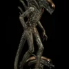 Premium Collectibles Alien Big Chap