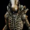 Premium Collectibles Alien Big Chap