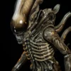 Premium Collectibles Alien Big Chap