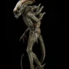 Premium Collectibles Alien Big Chap