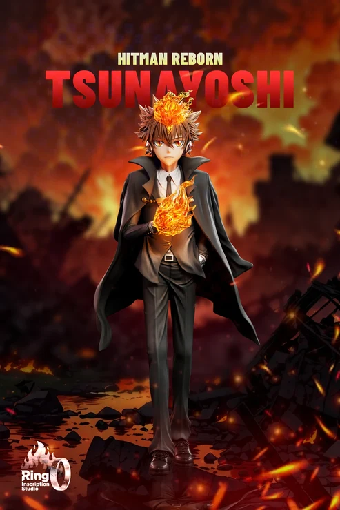 Ring Katekyo Hitman Reborn! Tsunayoshi Sawada