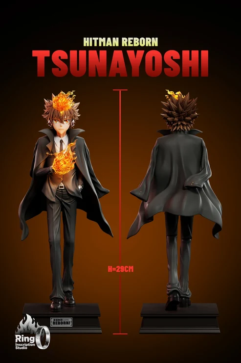 Ring Katekyo Hitman Reborn! Tsunayoshi Sawada
