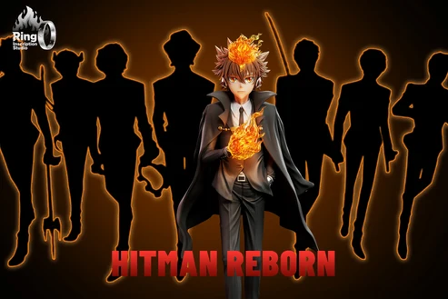 Ring Katekyo Hitman Reborn! Tsunayoshi Sawada