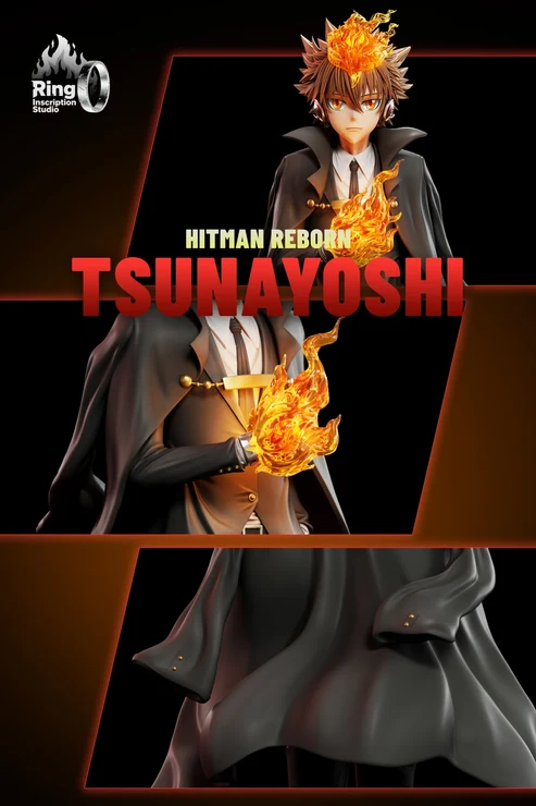 Ring Katekyo Hitman Reborn! Tsunayoshi Sawada