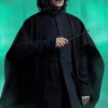 Sideshow Collectibles - Harry Potter - Severus Snape TOPGK Premium Format Mixed Media Figure(Licensed)