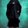 Sideshow Collectibles - Harry Potter - Severus Snape TOPGK Premium Format Mixed Media Figure(Licensed)