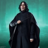 Sideshow Collectibles - Harry Potter - Severus Snape TOPGK Premium Format Mixed Media Figure(Licensed)