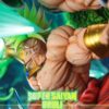 YI SHOU Studio Dragon Ball Broly