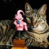 APM STUDIO Dragon Ball Z Kid Buu