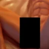 BDSM Studio Jujutsu Kaisen Yuji Itadori