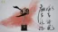 BiHaiChaoSheng Studio The Sheath of Gentleness 14 Scale Collectible Figure
