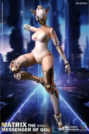 CTCO Studio & COOMODEL Studio Original Angel & Liz 16 Scale Collectible Figure