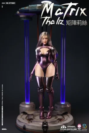 CTCO Studio & COOMODEL Studio Original Angel & Liz 16 Scale Collectible Figure