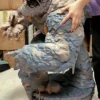 Legendary Beast DC Comics Clayface
