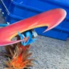 Limousine Studio Pokémon Mega Salamence