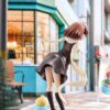 MAGI ARTS CLANNAD Nagisa Furukawa