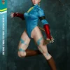 Play Toy Studio  Blue Fighting Female Warrior  16 Scale Action Figure – PT-P020B