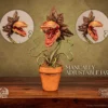 Premium Collectibles Studio Cursed Items Carnivorous Plant Statue