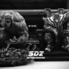 SDZ Studio Marvel Broken Hulk