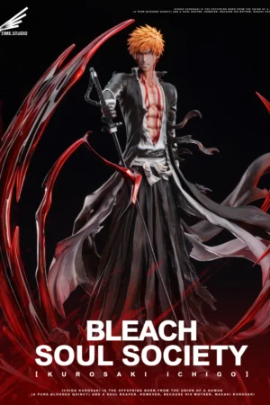 Time Studio Bleach Kurosaki Ichigo