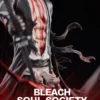 Time Studio Bleach Kurosaki Ichigo