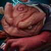 XF Studio Naruto Jiraiya & Gamabunta